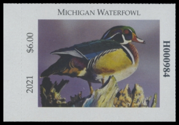 Picture of 2021 Michigan Duck Stamp