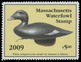 Picture of 2009 Massachusetts Duck Stamp