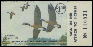 Picture of 1975 Maryland Duck Stamp