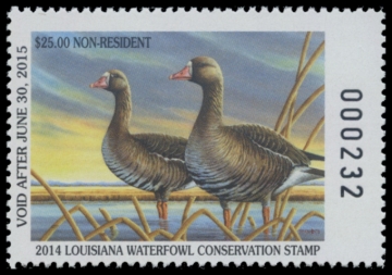 Picture of 2014 Louisiana Duck Stamp