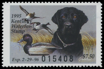 Picture of 1995 Kentucky Duck Stamp