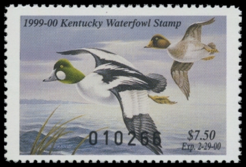 Picture of 1999 Kentucky Duck Stamp