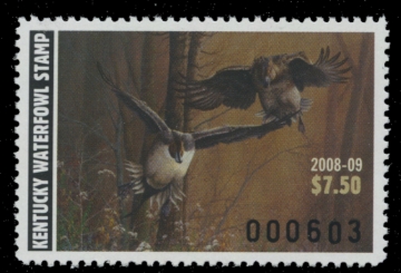 Picture of 2008 Kentucky Duck Stamp