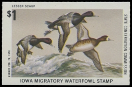 Picture of 1977 Iowa Duck Stamp