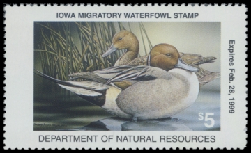 Picture of 1998 Iowa Duck Stamp