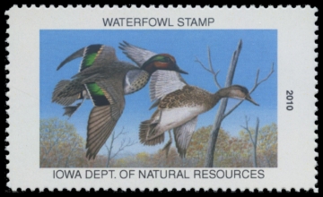 Picture of 2010 Iowa Duck Stamp