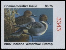 Picture of 2007 Indiana Duck Stamp