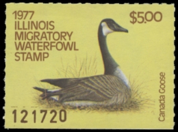 Picture of 1977 Illinois Duck Stamp