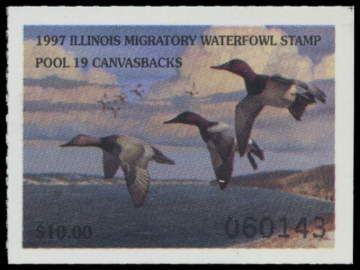 Picture of 1997 Illinois Duck Stamp