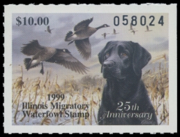 Picture of 1999 Illinois Duck Stamp