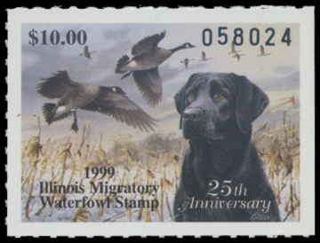 Picture of 1999 Illinois Duck Stamp