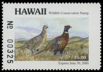 Picture of 1999 Hawaii Duck Stamp