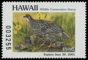 Picture of 2000 Hawaii Duck Stamp