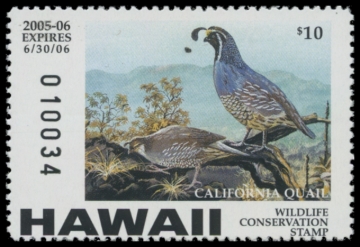 Picture of 2005 Hawaii Duck Stamp