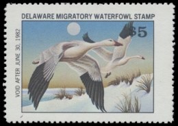 Picture of 1981 Delaware Duck Stamp