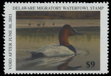 Picture of 2010 Delaware Duck Stamp