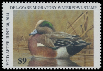 Picture of 2013 Delaware Duck Stamp