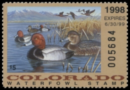 Picture of 1998 Colorado Duck Stamp
