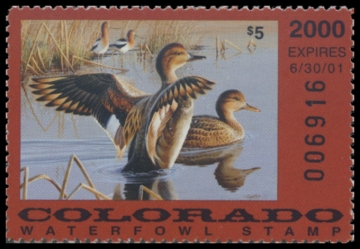 Picture of 2000 Colorado Duck Stamp