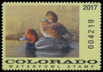 Picture of 2017 Colorado Duck Stamp