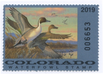Picture of 2019 Colorado Duck Stamp
