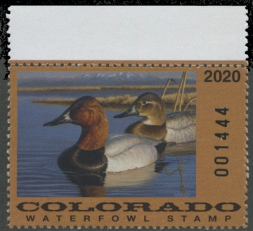 Picture of 2020 Colorado Duck Stamp