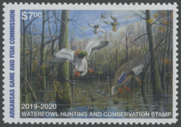 Picture of 2019 Arkansas Duck Stamp