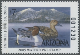 Picture of 2005 Arizona Duck Stamp