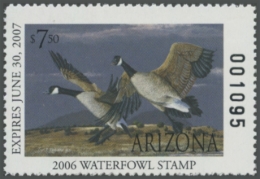 Picture of 2006 Arizona Duck Stamp
