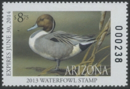 Picture of 2013 Arizona Duck Stamp