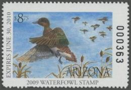 Picture of 2009 Arizona Duck Stamp