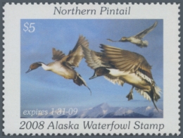 Picture of 2008 Alaska Duck Stamp