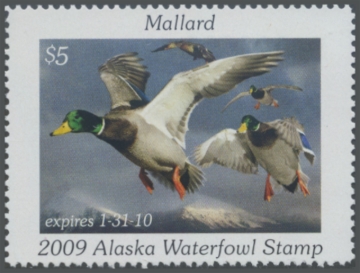 Picture of 2009 Alaska Duck Stamp