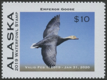 Picture of 2019 Alaska Duck Stamp