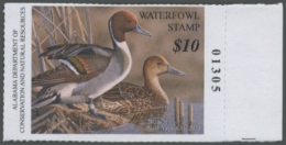 Picture of 2020 Alabama Duck Stamp