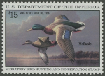 Picture of RW62 1995 Duck Stamp