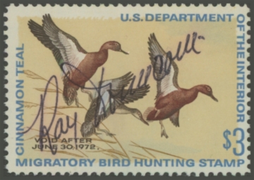 Picture of RW38 1971 Duck Stamp 
