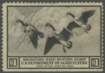 Picture of RW3 1936 Duck Stamp 