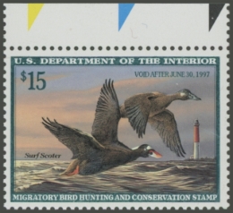 Picture of RW63 1996 Duck Stamp
