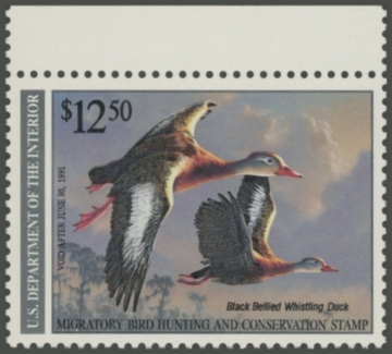 Picture of RW57 1990 Duck Stamp 