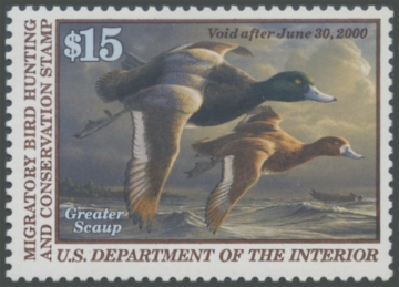 Picture of RW66 1999 Duck Stamp 
