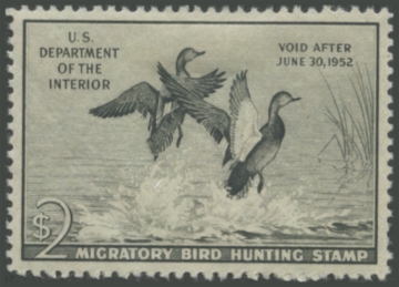 Picture of RW18 1951 Duck Stamp 
