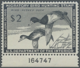 Picture of RW21 1954 Duck Stamp 