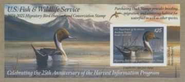 Picture of RW91A 2024 Duck Stamp 