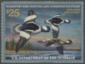 Picture of RW93 2026 Duck Stamp