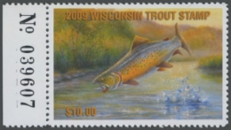 Picture of 2009 Wisconsin Trout Stamp