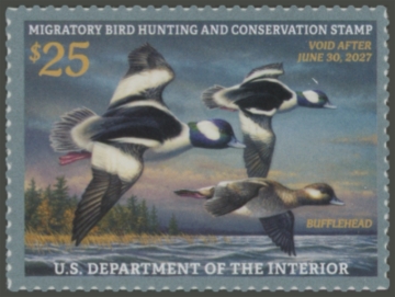 Picture of RW93 2026 Duck Stamp