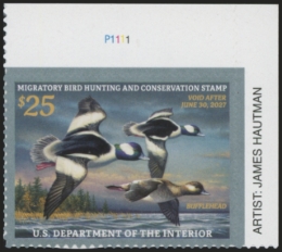 Picture of RW93 2026 Duck Stamp