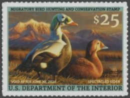 Picture of RW92 2025 Duck Stamp 
