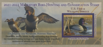 Picture of RW88A 2021 Duck Stamp 
